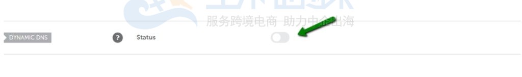 动态DNS功能