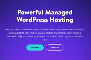 Kinsta WordPress主机托管服务