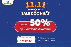 HostingViet双十一活动