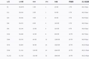 共享CPU