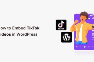 WordPress教程