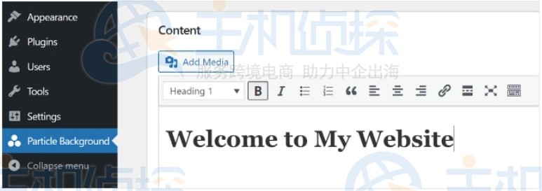 插入文本