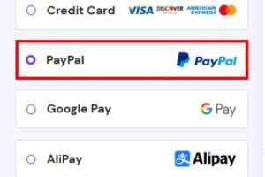 Hostinger 购物车结帐页面显示选择 PayPal