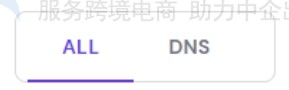 日志和dns特定日志