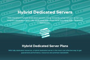 RackNerd混合专用服务器