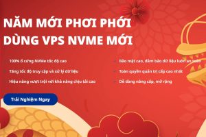 HostingViet开年促销