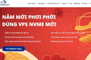 HostingViet三月促销