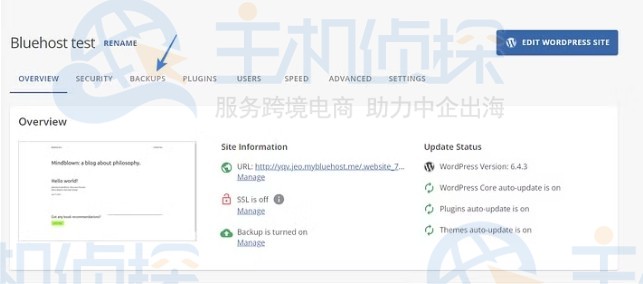 备份的选项卡