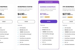 UltaHost Wordpress主机方案