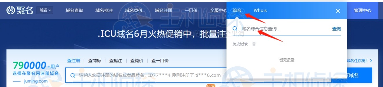 域名综合信息查询
