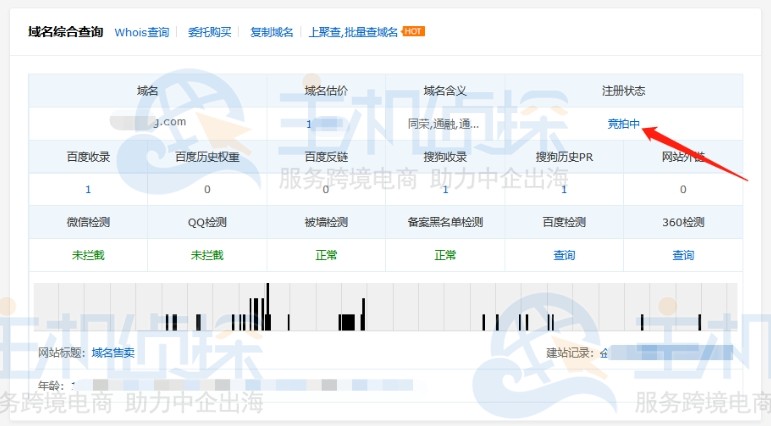 竞拍域名