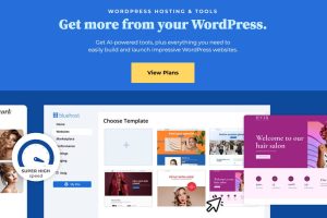 BlueHost WordPress主机