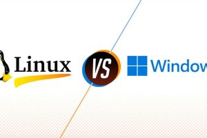 Linux VPS和Windows VPS