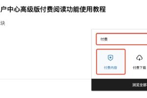 付费阅读功能