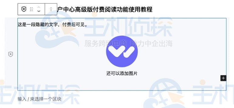 付费阅读功能