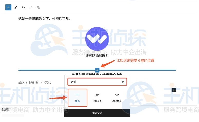 付费阅读功能
