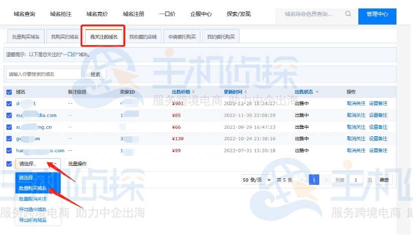 关注的域名