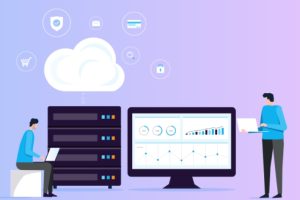 Maple-Hosting荷兰服务器
