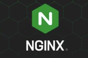 在Nginx服务器上安装证书