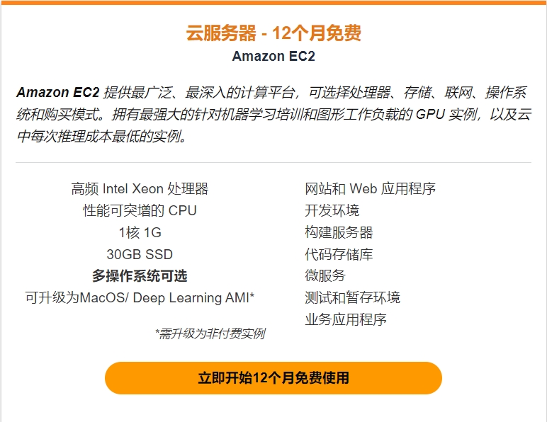 免费12个月