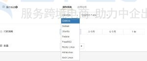 RAKsmart国外GPU云服务器