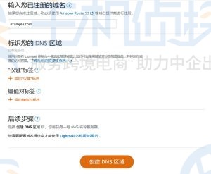 输入域名