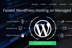 Cloudways WordPress主机托管