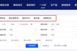 一口域名界面