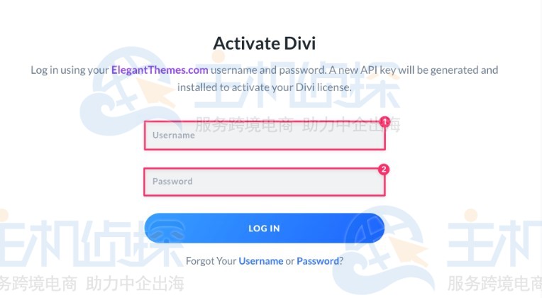 Divi主题安装