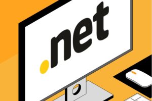 net域名