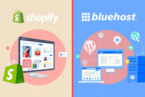 Shopify和BlueHost