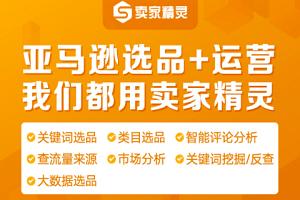 卖家精灵费用