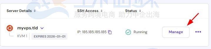 查找VPS IP地址