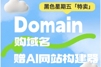 Domain黑五折扣优惠