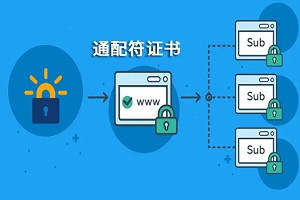 DV通配符证书和OV通配符证书的区别