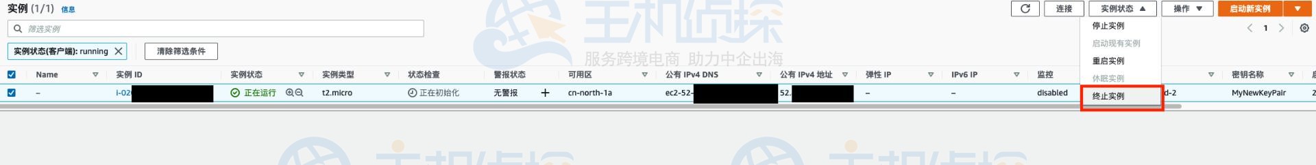 终止Amazon EC2