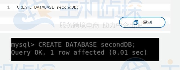 数据库