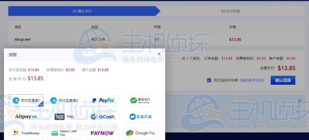 net域名付款