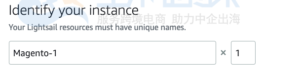 输入名称