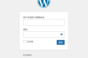 常规选项卡