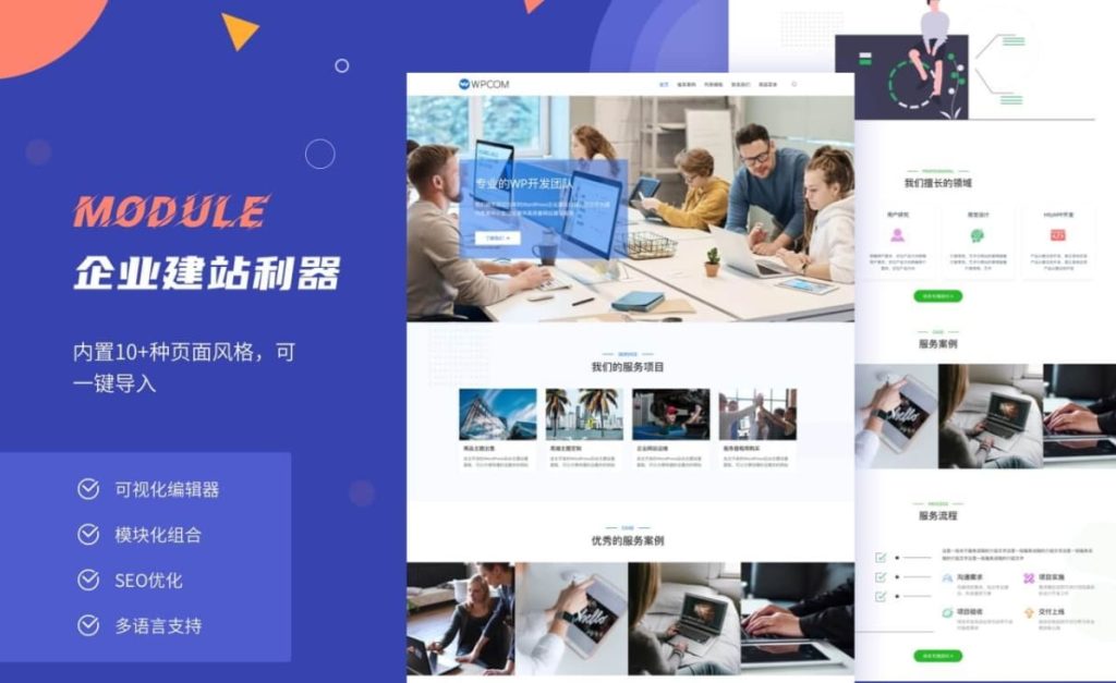 Module主题
