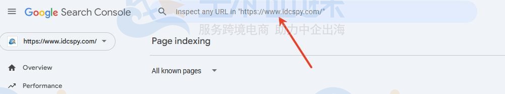 网页收录情况