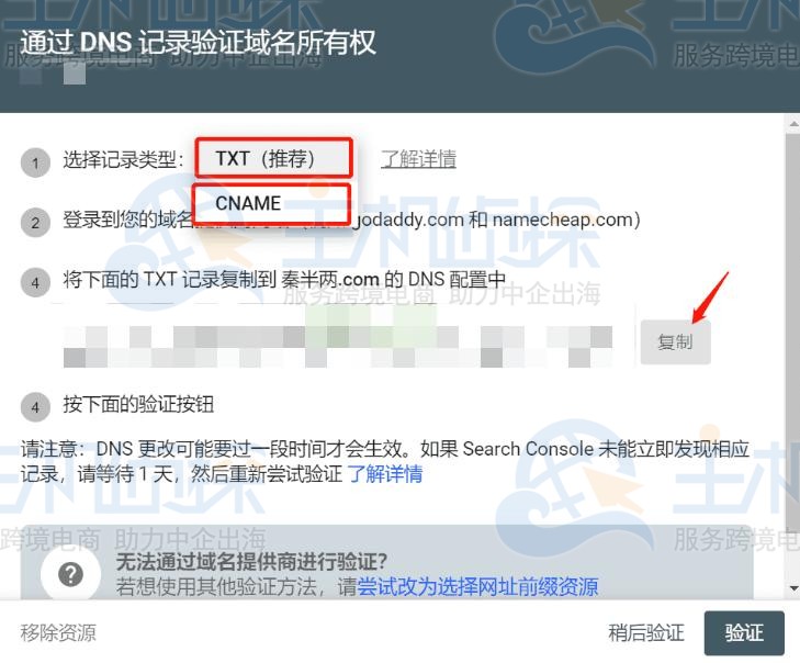 CNAME或TXT记录