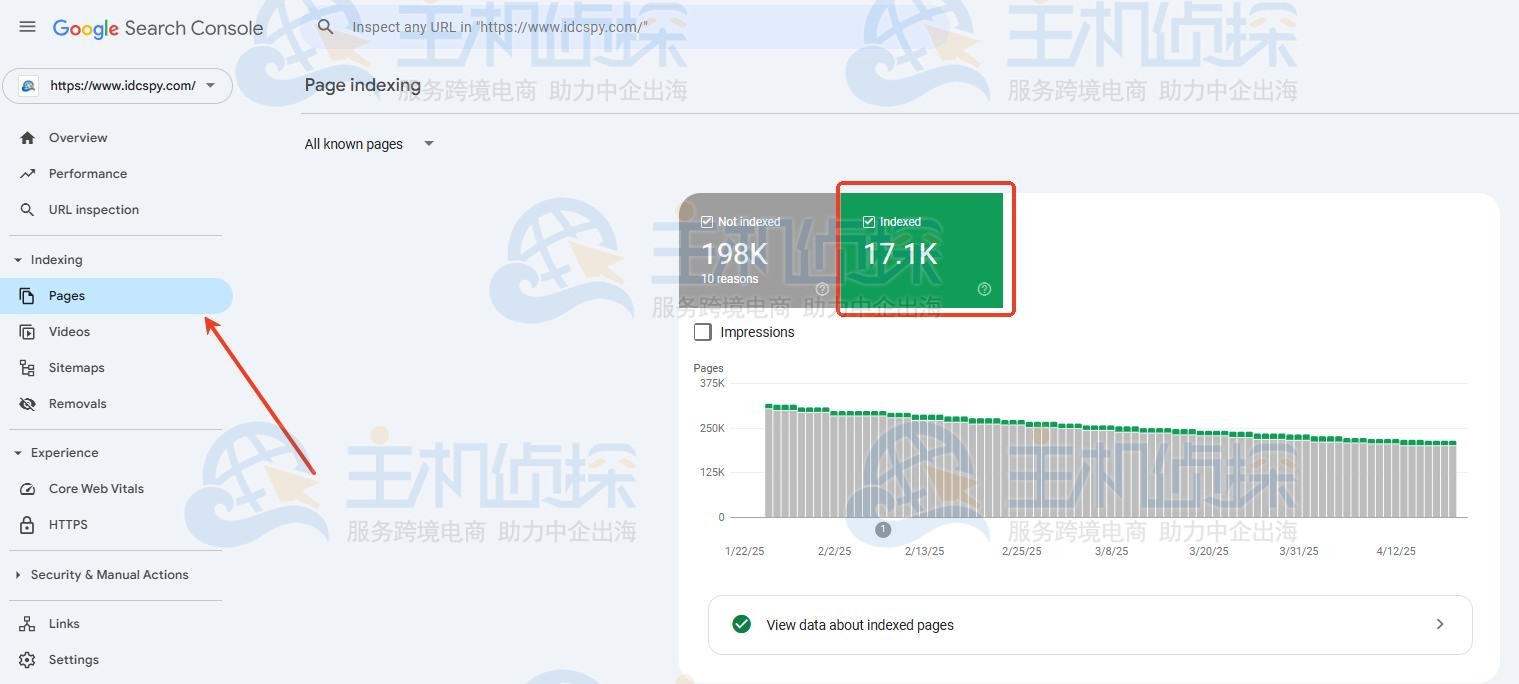 网页收录情况
