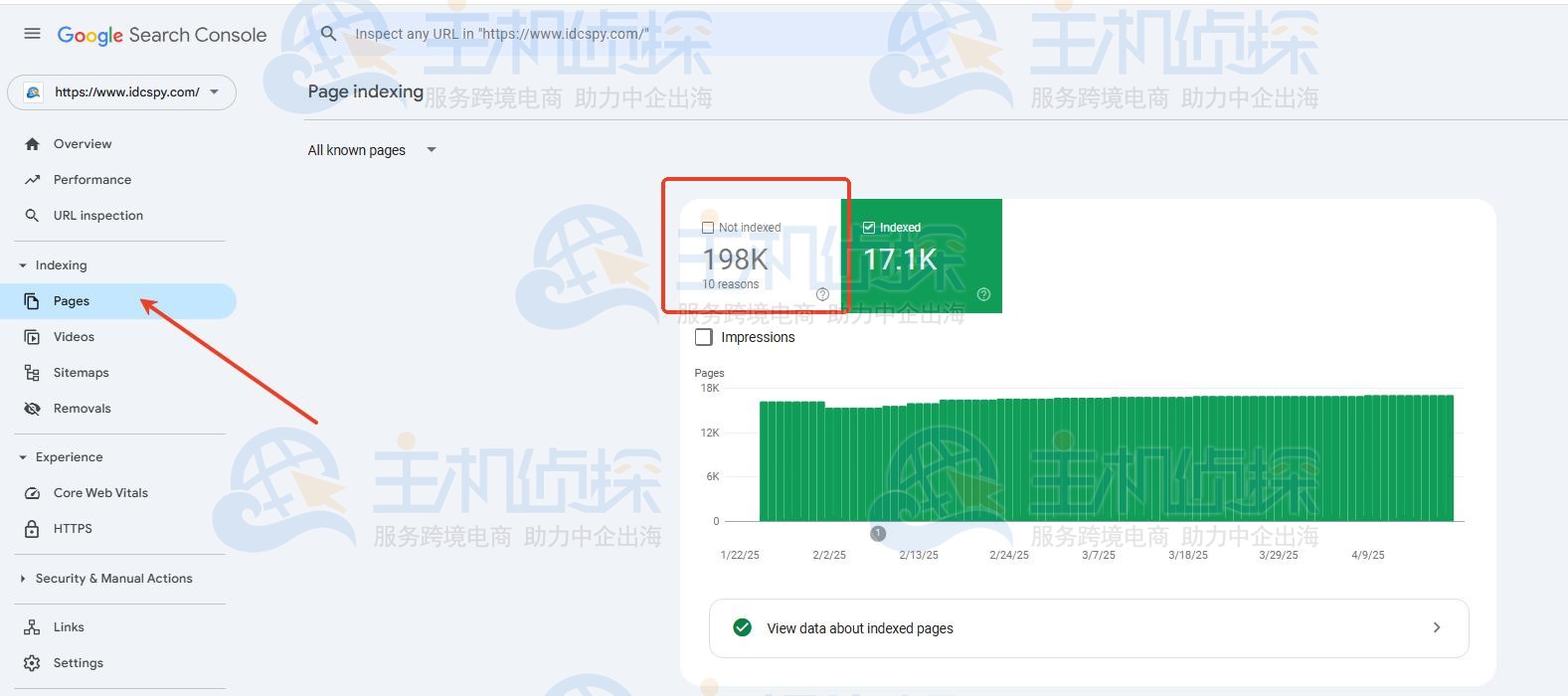 网页收录情况