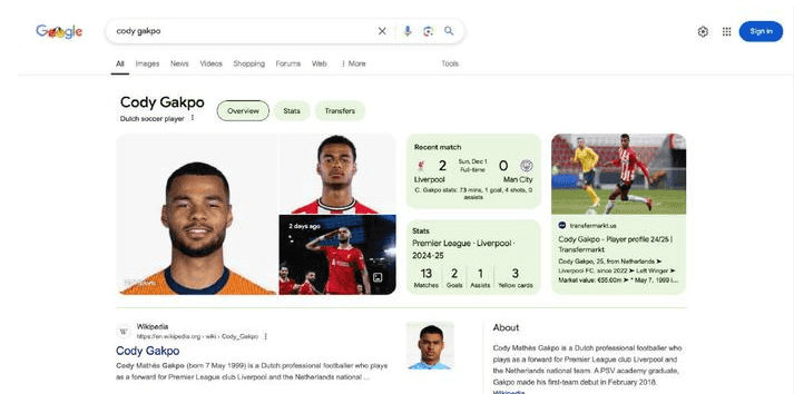 Google结果页面