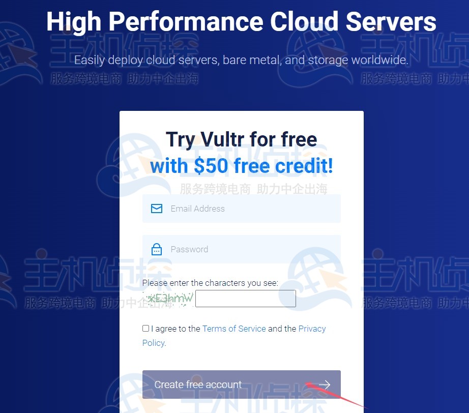 Vultr VPS