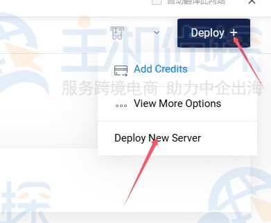 Vultr