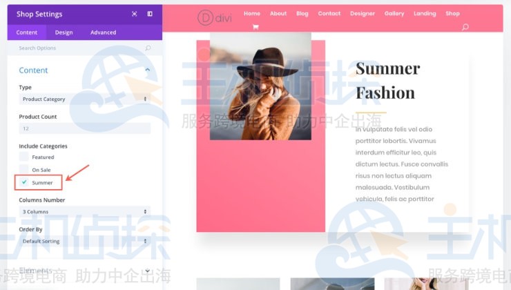 Divi 商店页面布局