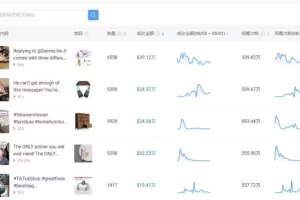 TikTok选品方法和技巧
